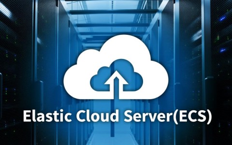 弹性云服务器API下,如何详细查询挂载磁盘的单个信息?