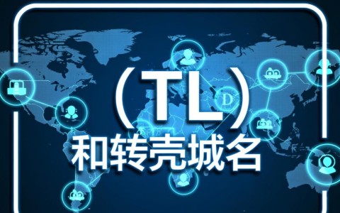 顶级域名转壳域名,这究竟是一种怎样的操作?有何风险与机遇?