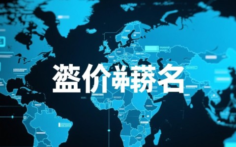 溢价域名背后，为何这些域名价值连城，有何独特之处？