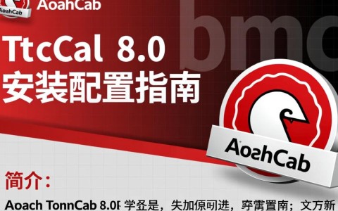 Tomcat 8.0安装配置过程中，有哪些常见问题及解决技巧？