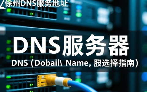 江苏徐州DNS服务器具体地址是什么？徐州地区服务器地址查询指南？