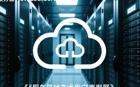 云服务器NovaLockServer，弹性云服务器API如何优化状态管理？