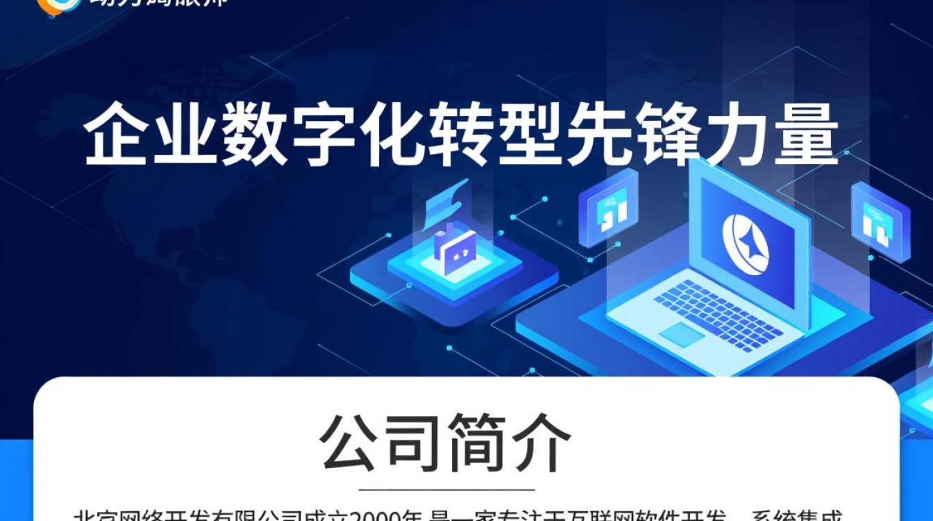 北京网络开发有限公司的商业模式和盈利策略究竟有何独特之处？