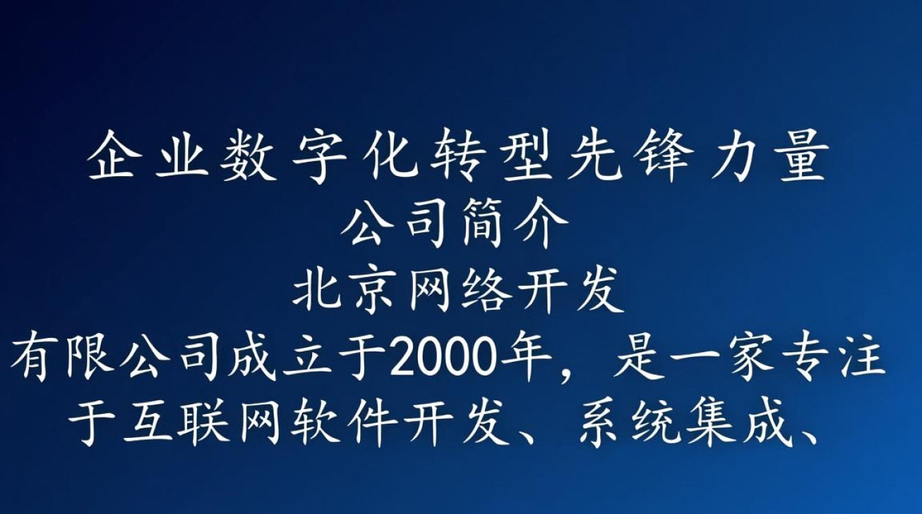 北京网络开发有限公司的商业模式和盈利策略究竟有何独特之处？