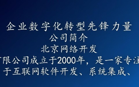 北京网络开发有限公司的商业模式和盈利策略究竟有何独特之处?