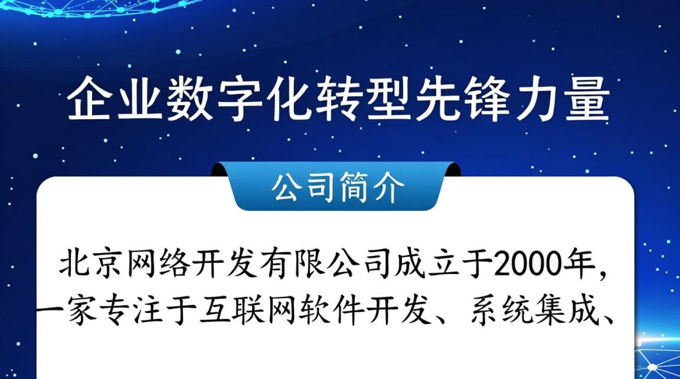 北京网络开发有限公司的商业模式和盈利策略究竟有何独特之处？