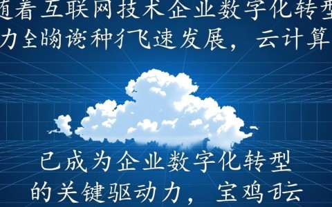 宝鸡云服务器，宝鸡地区云服务器的优势与挑战有哪些？