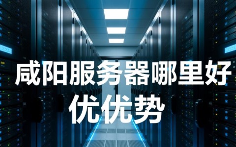 咸阳服务器优质选择，哪家服务商性价比最高？