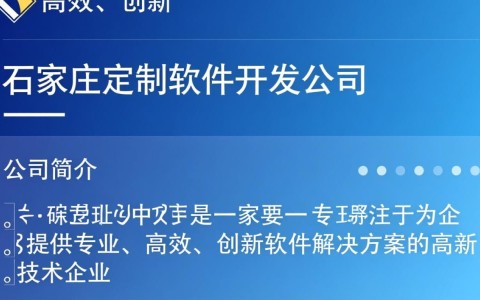 石家庄哪家定制软件开发公司更专业，能提供优质服务？