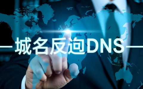 如何理解并操作域名反向dns解析域名这一技术？