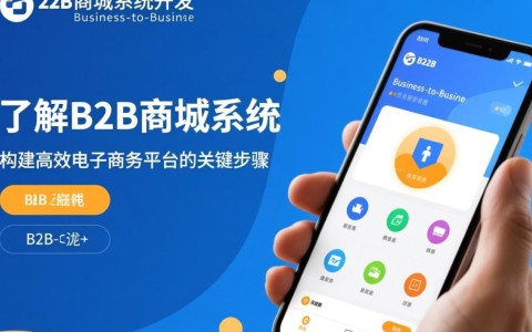 b2b商城系统开发，如何选择合适的系统开发团队？成本控制与功能实现间如何平衡？