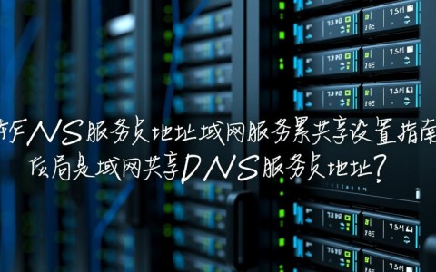 局域网内如何设置共享DNS服务器地址？局域网服务器共享方法详解？