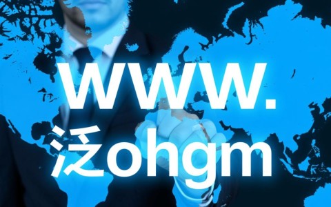 www域名与泛域名之间有何区别及适用场景探讨？