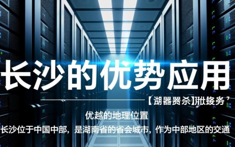 长沙服务器的为何在处理大数据应用时表现出色？揭秘其优势与奥秘！