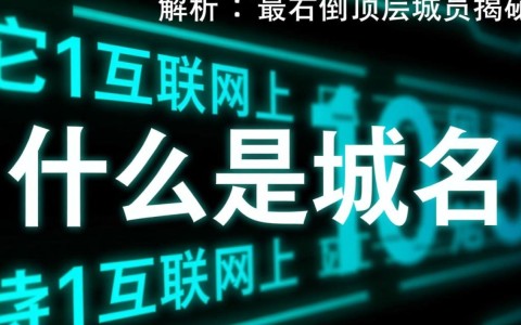 域名最右侧顶层域名究竟是什么?揭秘网络地址结构奥秘!