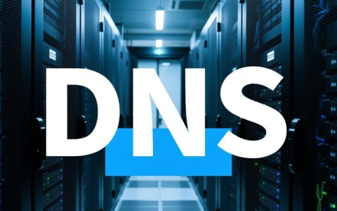 嘉兴DNS服务器地址查询，嘉兴地区服务器DNS设置如何确定？