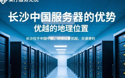 长沙中国服务器，为何如此备受瞩目？