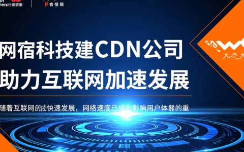 中国联通与网宿科技共建cdn公司，此举有何战略意义？