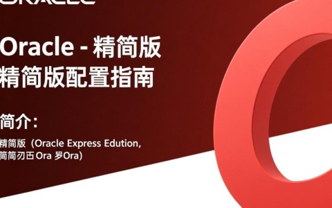 Oracle精简版配置，如何优化性能与资源使用？适用哪些场景？