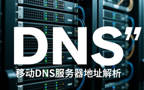 江西萍乡DNS服务器地址查询，萍乡移动DNS地址在哪设置？