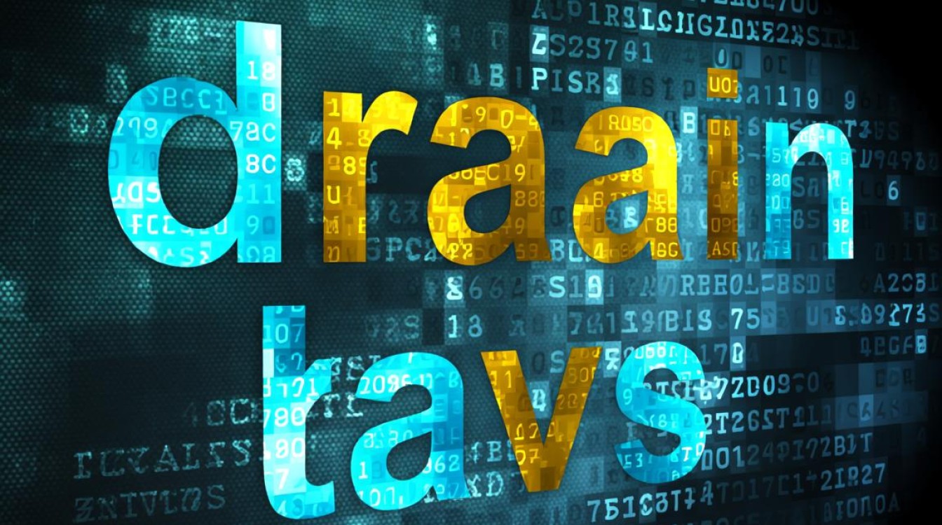 为什么co域名比cn域名更受欢迎？探讨两者差异背后的原因。