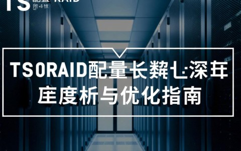 TS250配置RAID,哪种RAID模式最适合我的需求?如何优化性能与数据安全?