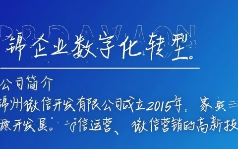 锦州微信开发有限公司，如何成为地区领先的微信开发服务商？