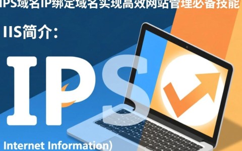 如何正确进行iis域名IP绑定？是否存在特定步骤或注意事项？