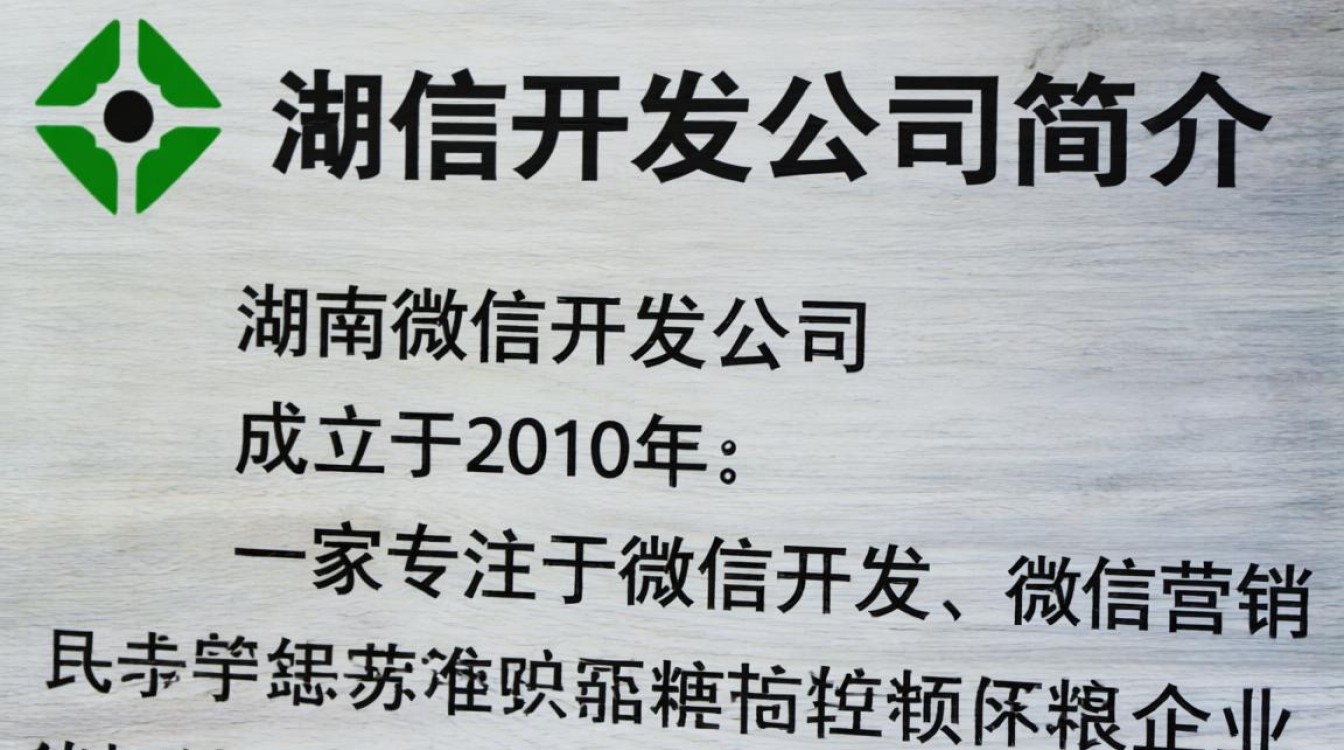 湖南微信开发公司简介，这家公司有哪些特色服务与优势？