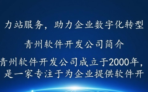 青州软件开发公司电话是多少？哪家公司服务更优质？