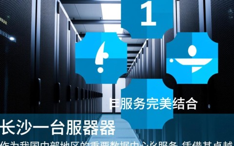 长沙一台服务器，其性能和稳定性如何？能否满足企业级应用需求？