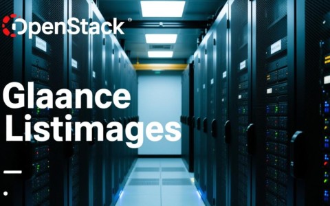 如何高效查询OpenStack原生Glance镜像服务API的镜像列表？