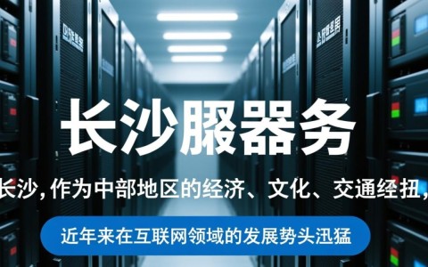 长沙服务器长沙，为何如此备受关注？性能与稳定性有何独到之处？