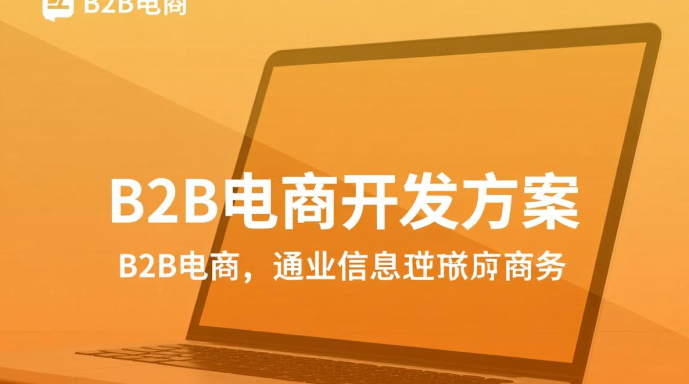 B2B电商开发方案，如何打造高效、安全的在线交易平台？