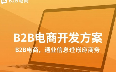B2B电商开发方案，如何打造高效、安全的在线交易平台？