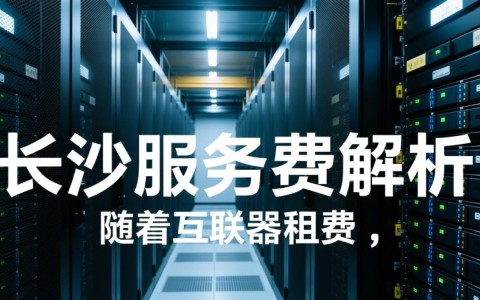 长沙服务器租费是否合理？性价比高吗？揭秘性价比之选！