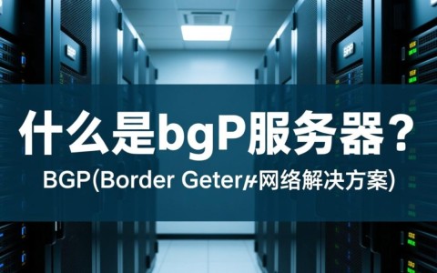 长沙bgp服务器，为何成为企业网络优化首选？性价比与稳定性如何？
