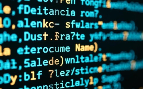 域名结构中的顶级域名，其分类与作用究竟有何奥秘？