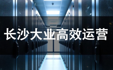 长沙大宽带服务器，是行业翘楚还是另有隐情？揭秘其性能与市场表现！