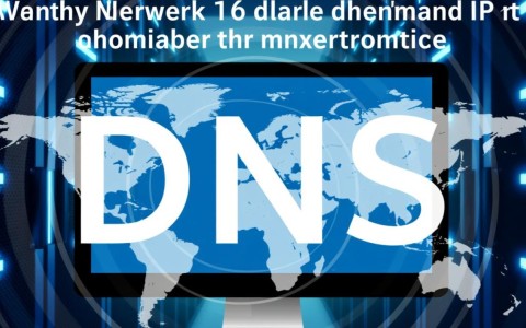 如何准确检查DNS服务器IP地址？常用命令详解揭秘！