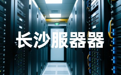 长沙服务器一台，为何选择这里而非其他城市？性价比如何？