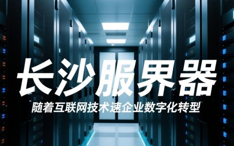 长沙服务器空间，有何独特优势，性价比如何？值得投资吗？