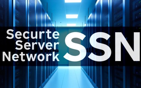 安全服务器网络是什么？对中小企业有必要部署吗？