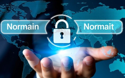 壳域名与普通域名的区别在哪里？它们各自有哪些优缺点？