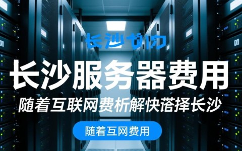 长沙服务器费用是多少?性价比如何?哪家服务商更优?