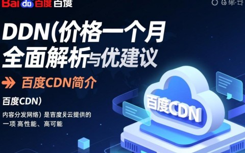 百度CDN价格一个月具体是多少?性价比如何?不同套餐有何差异?