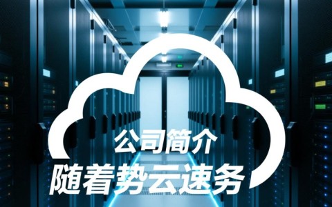 长沙云服务器公司，哪家服务最优质、性价比最高？如何选择合适的服务商？