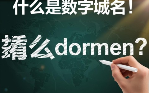 域名城数字域名的潜力与发展前景究竟如何？