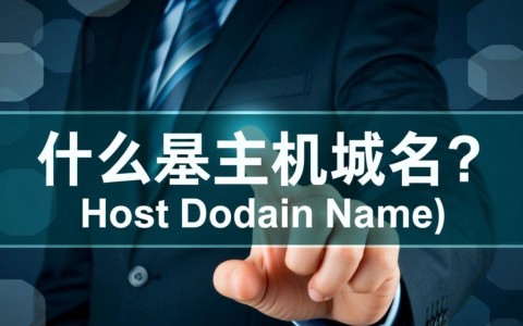 主机域名的域名究竟有何特殊之处，为何如此引人关注？