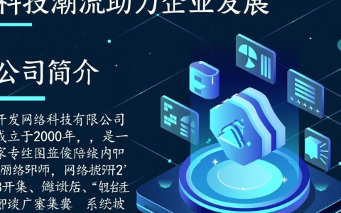 开发网络科技有限公司业务模式创新？未来市场定位如何？